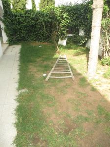 IMG_0571